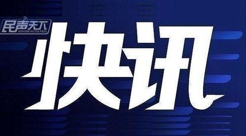 今日爆料快讯最新,今日爆料快讯背后的惊人真相
