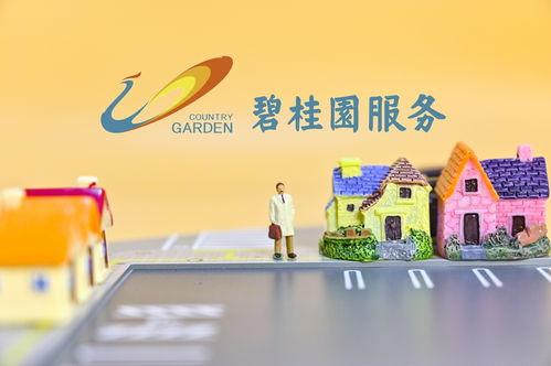 碧桂园物业爆料最新消息